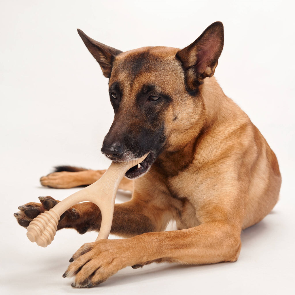 BetterBone MEDIUM Durability CHEW TOY: Perfect Chew for Everyday Chewers | Naturally Derived Ingredients, Eco-Friendly, Non-Toxic