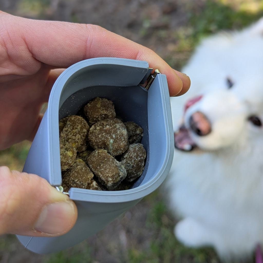 One-Hand Treat Training Pouch